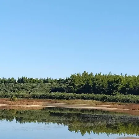 San Sani *