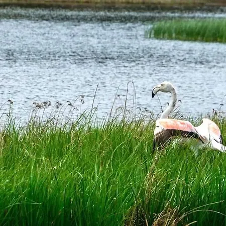 بيت للعطل San Sani