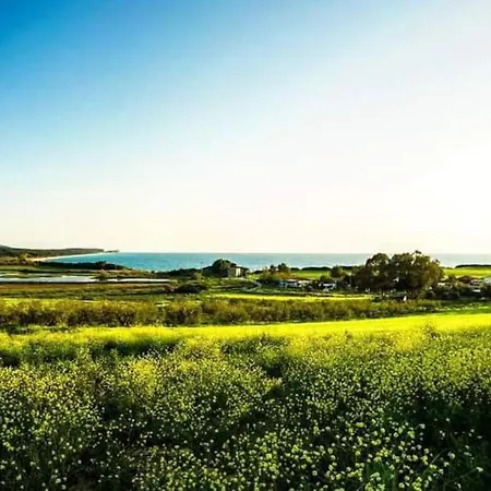 San Sani