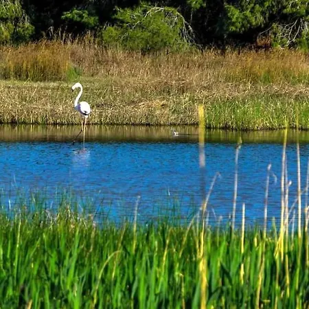 San Sani * Filakai Kassandras