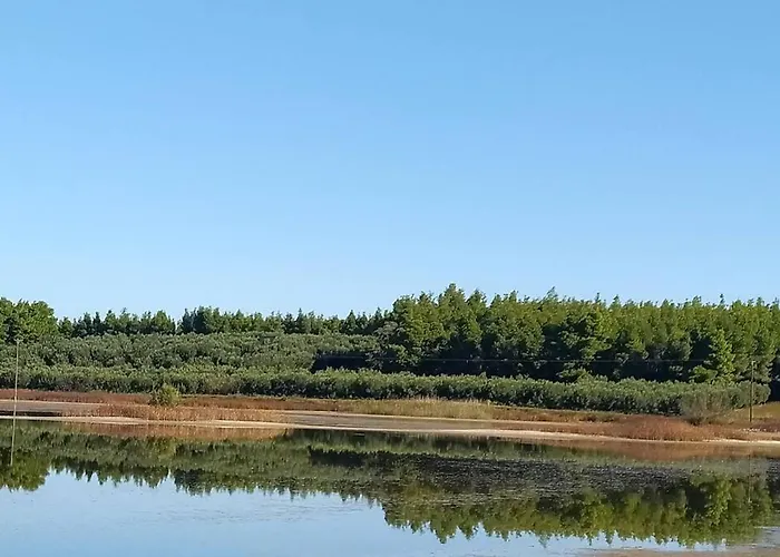San Sani *